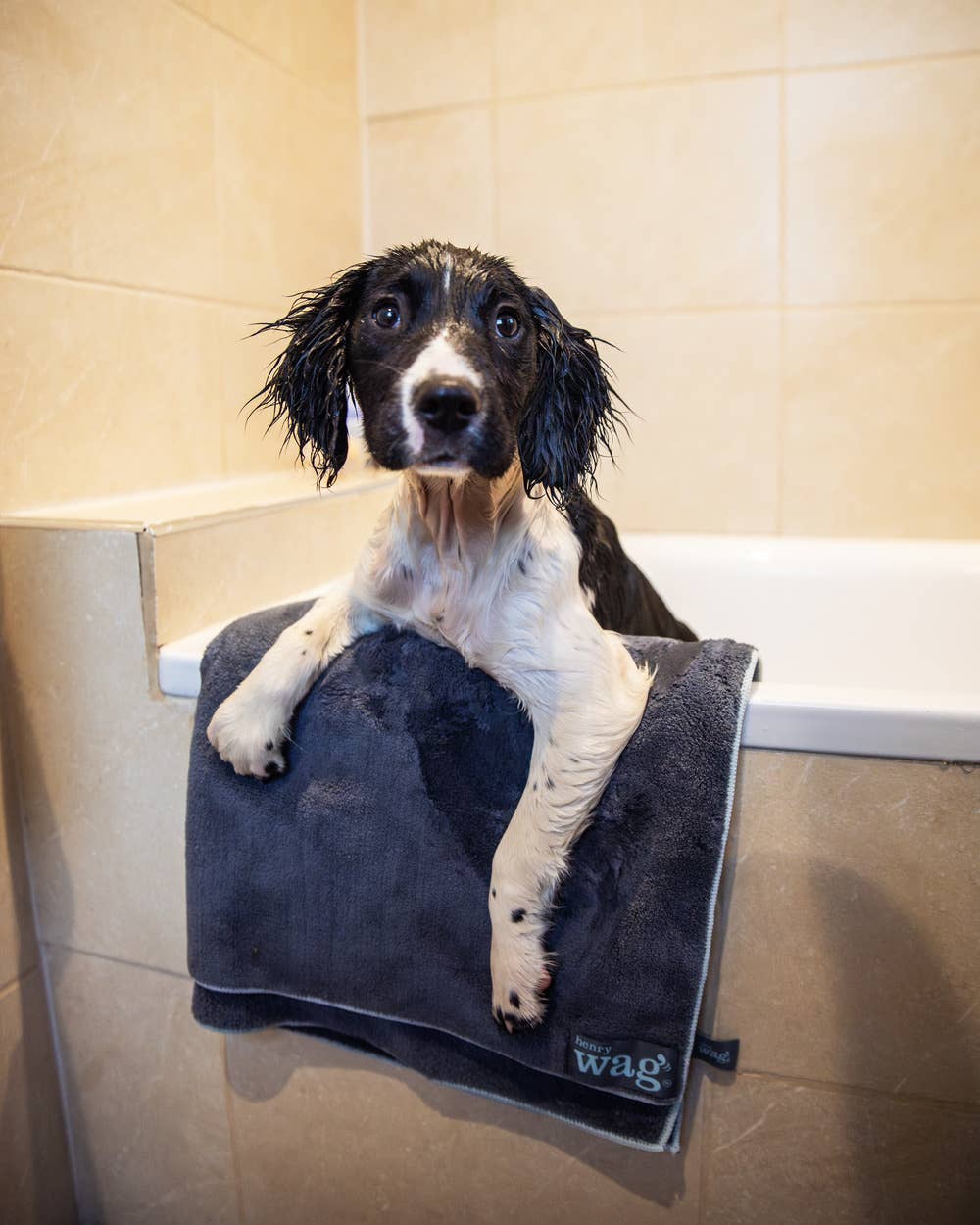 Henry Wag Pet Microfibre Towel: Large 150 x 100cm