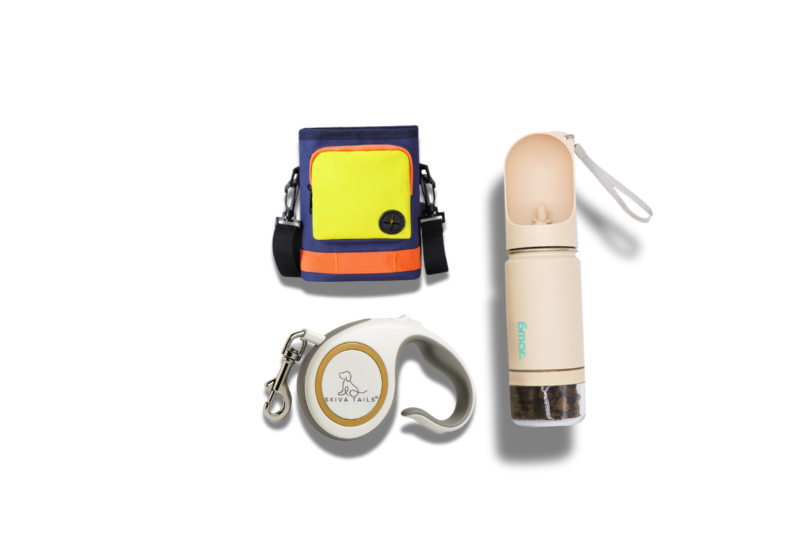 On-the-Go Essentials Bundle – Leash, Water Bottle & Training Pouch