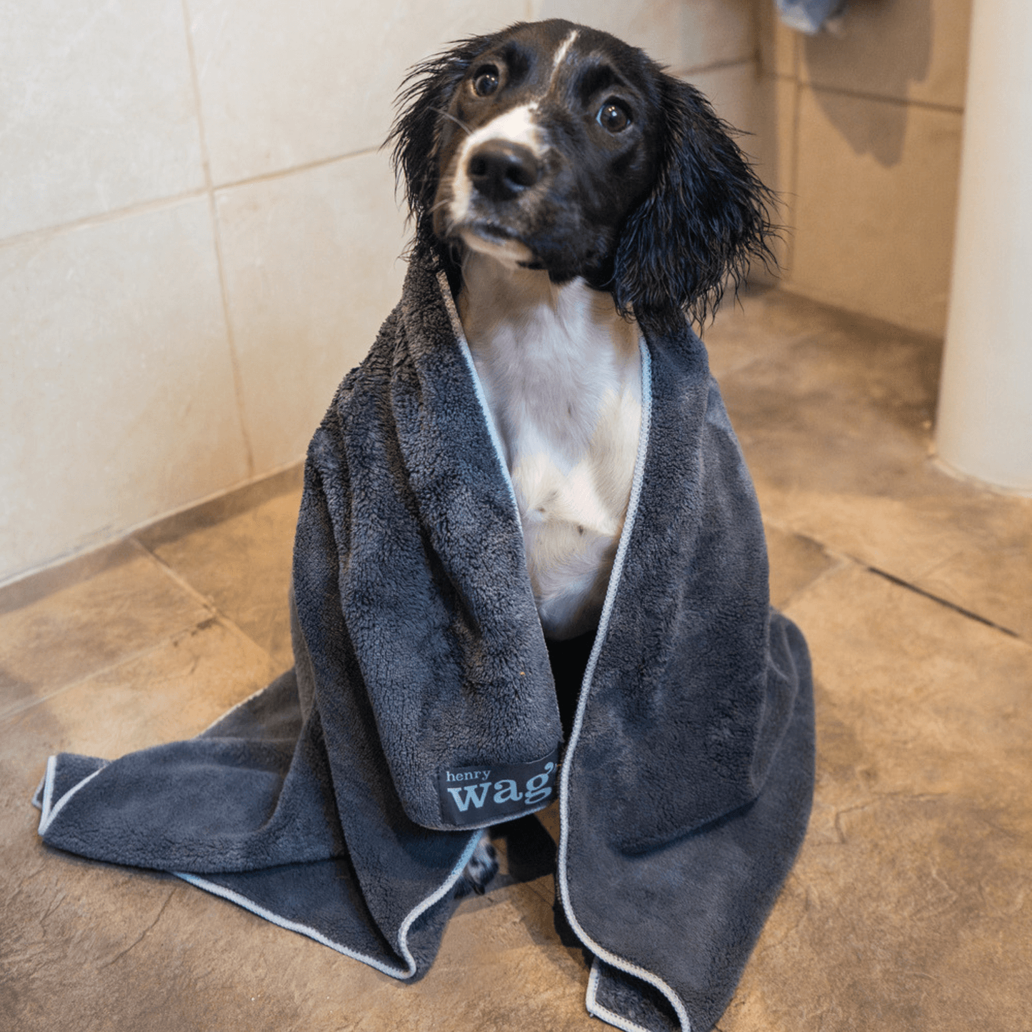 Henry Wag Pet Microfibre Towel: Large 150 x 100cm