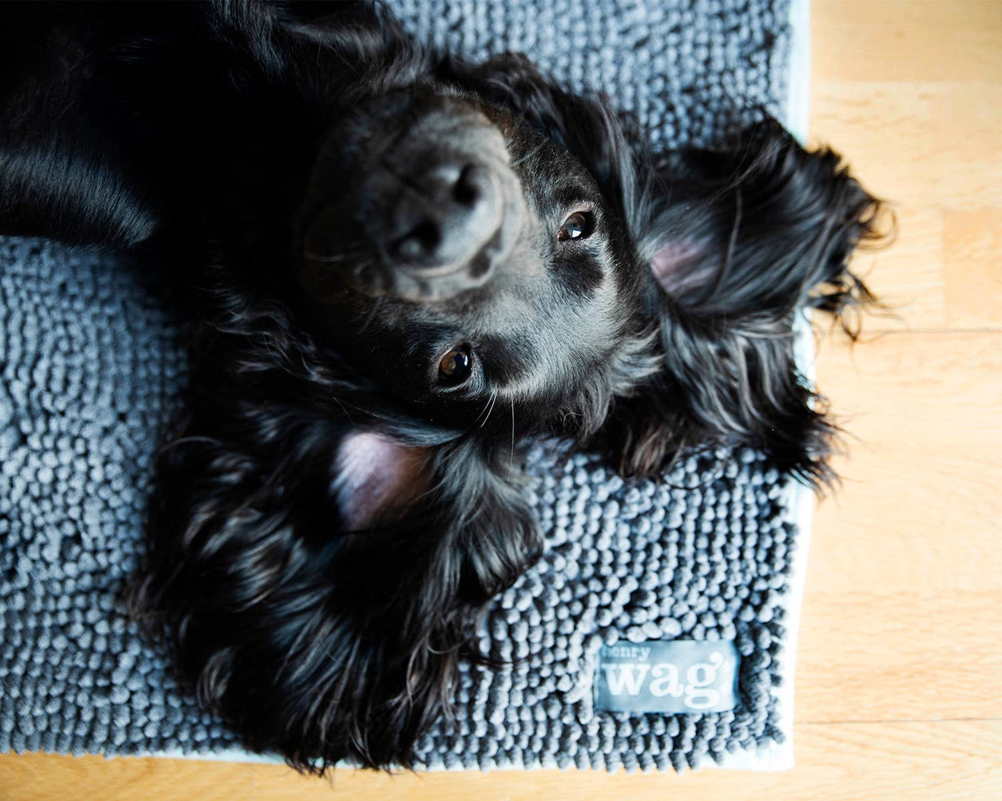 Henry Wag Microfibre Noodle Pet Mat: Medium